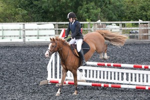 Class 6 - Fences not above 2'9